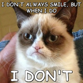 Illustration for article titled NO, I Don't Smile